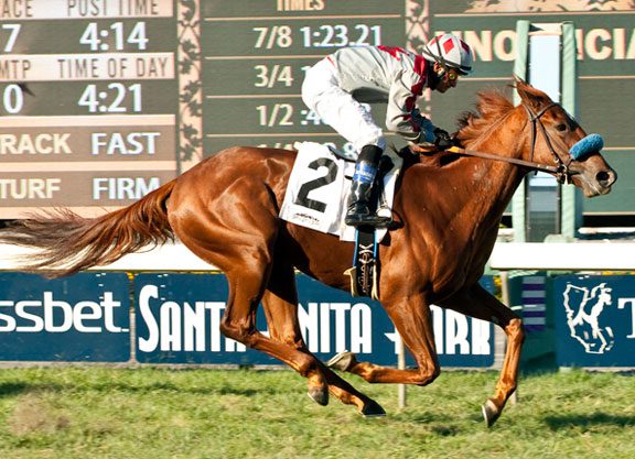 City Zip Filly Lands Surfer Girl