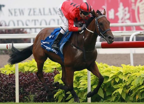 Stepitup Crashes the Party in Kranji Mile