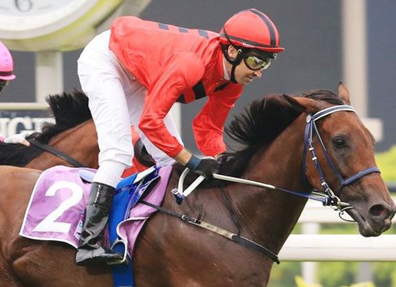 Stepitup Spectacular in Raffles Cup