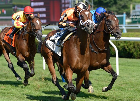 Nothing But Time in the Nearctic