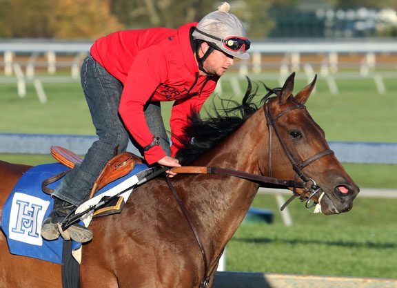 Super Majesty Works Towards BC