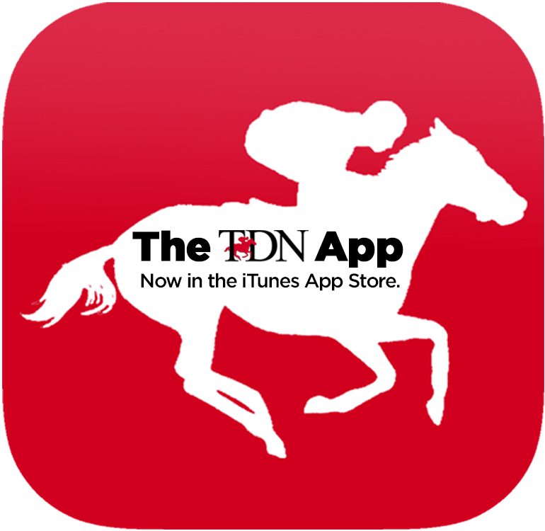 TDN App Update now in App Store