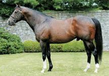 Tale of the Cat Firster Runs to the Money