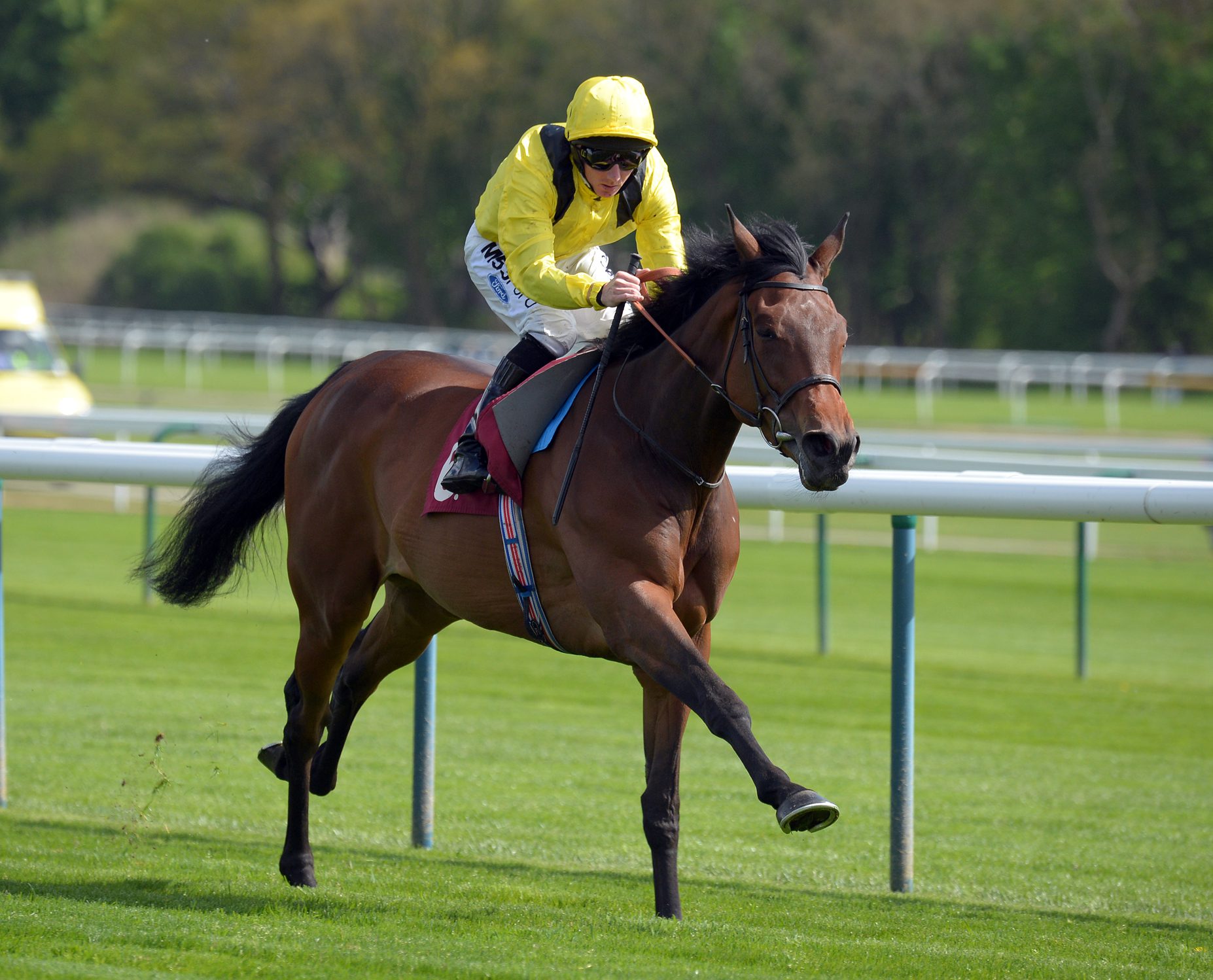 ‘Taylor’ Made for an Upset