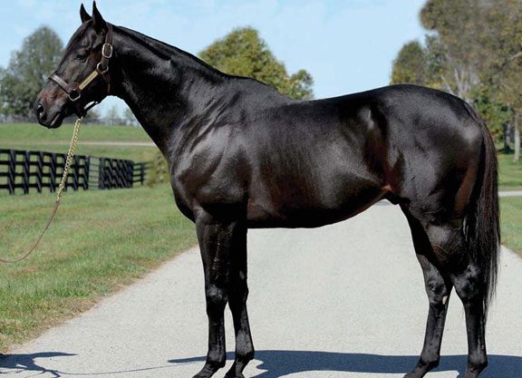 Miss Temple City’s Full-Sis Impresses at Belmont