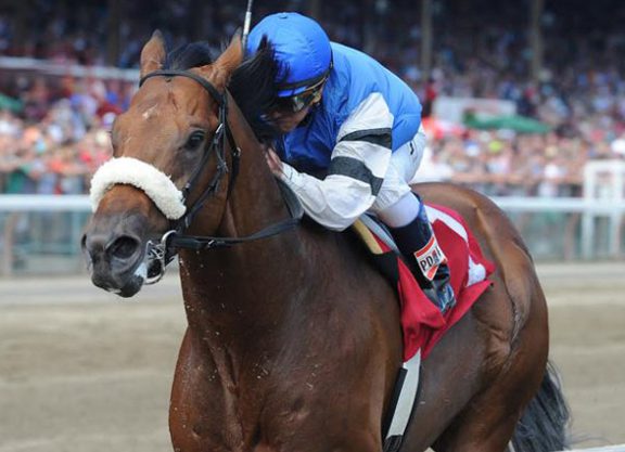 The Big Beast Retired to Ocala Stud