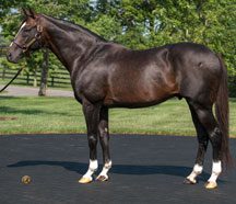 Today’s Insights-Thursday, 11-05-15