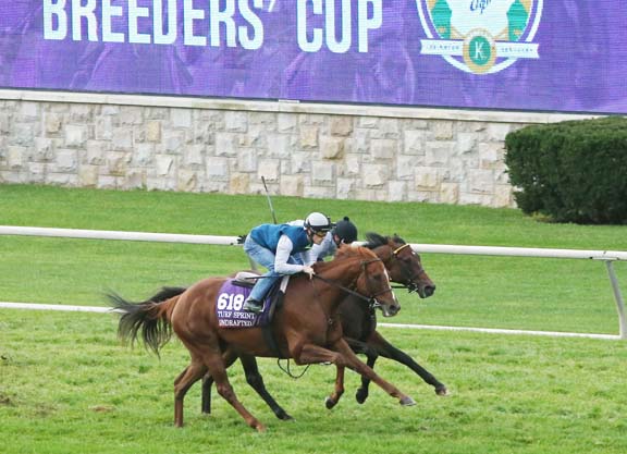 Ward Runners Out on Keeneland Turf