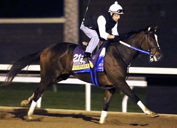 Asmussen Runners on Track