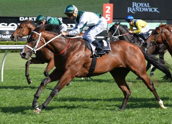 Spring Champion to Encosta de Lago’s Vanbrugh