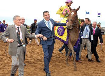 Wavell Avenue Flashes Home in the Filly/Mare Sprint