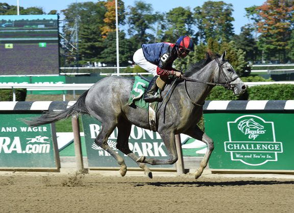 Evans, Clement Welcome Another Winner by Tapit