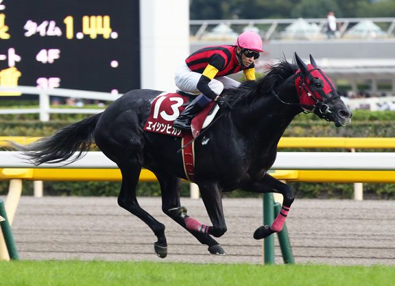 A ‘Sho’ In Tokyo