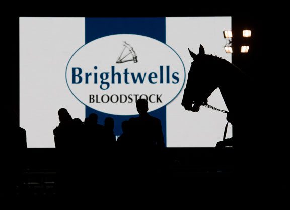 Tattersalls Purchases Brightwells
