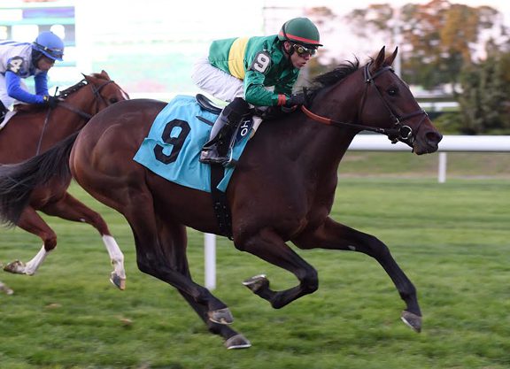 Kitten’s Joy Colt Slings to Victory in Belmont Nightcap