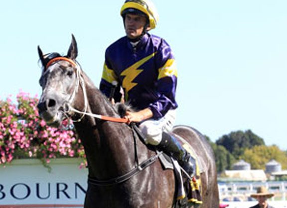 Chautauqua The Talk of the Town