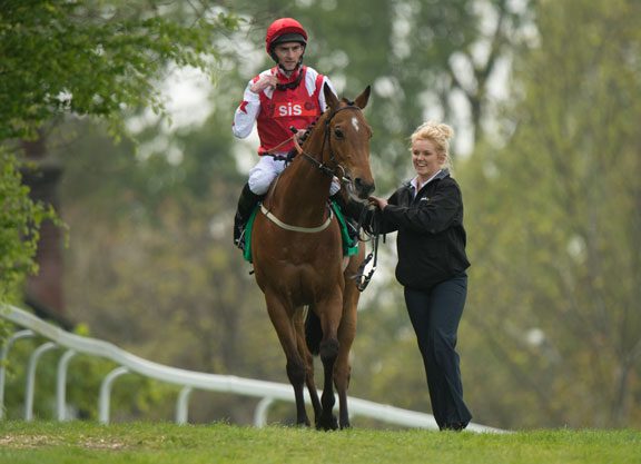 Custom Cut Added To Autumn Sale