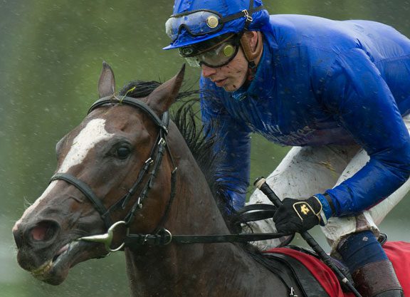 James Willoughby: Americans Gaining On Juvenile Turf Form