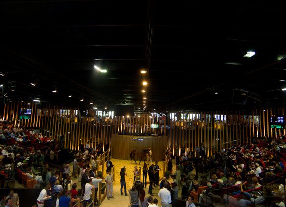 Results Consolidated At Arqana October