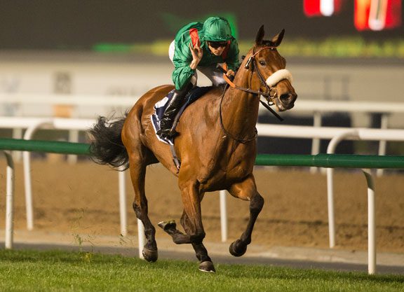 Sheema Scorer Dolniya Retired