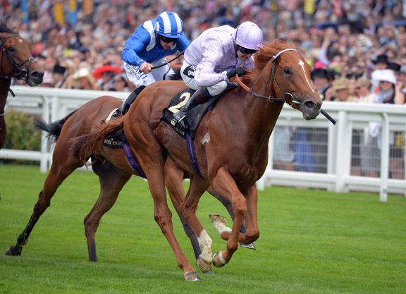 Shadwell Runners Come From All Over