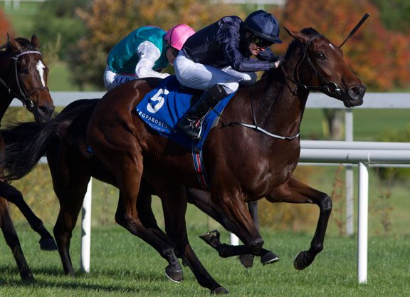 Mastercraftsman Half To Simple Verse Scores At Leopardstown