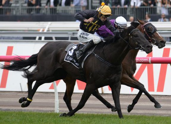 Excess Enthusiasm Lights Up Derby Day