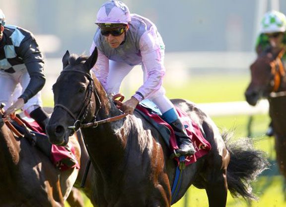 Oasis Dream’s Free Port Lux Comes Good In the Dollar