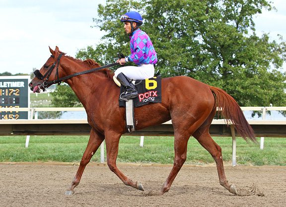 Futurity Field Short, but Competitive