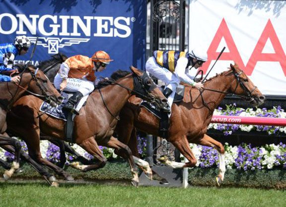 Mackinnon Stakes To French-bred Gailo Chop