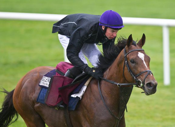 Gleneagles To Coolmore In 2016