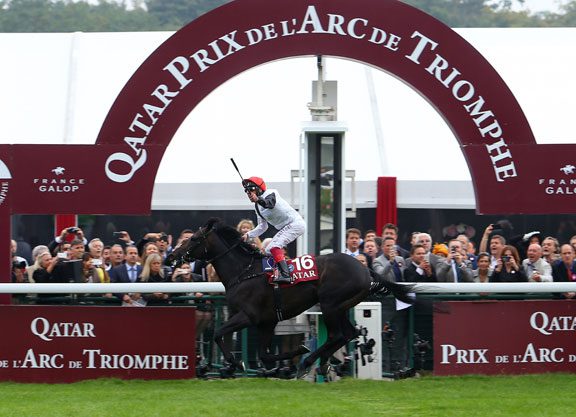 Golden Horn To Stand at Darley