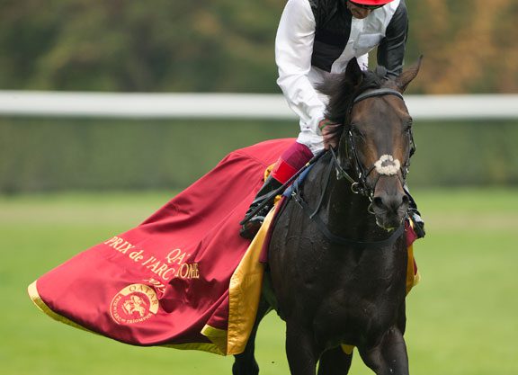Golden Horn Works For Breeders’ Cup
