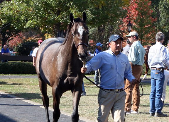 Tapit Colt Tops Fasig Finale