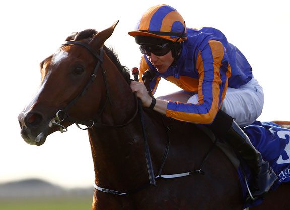 Galileo’s Idaho Gains TDN Rising Star Status at The Curragh