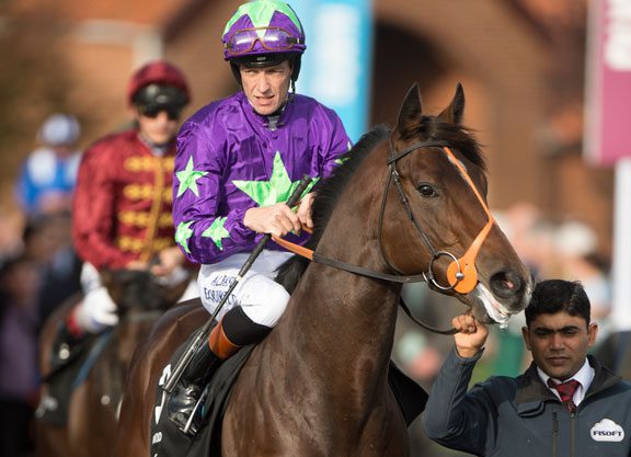 Ivawood Retired To Coolmore