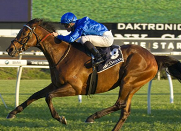 Making Magic In The Mackinnon