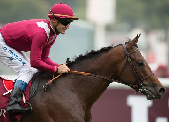 Makfi’s Make Believe On Top In the Foret