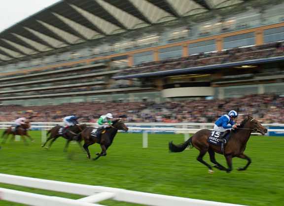 Oasis Dream’s Muhaarar Clinches Champion Sprint Honors At Ascot