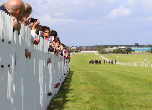 Developments In Store For Naas, Sligo Racecourses