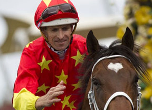 Press Statement To Pass On Cox Plate