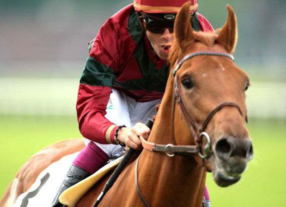 Prince Gibraltar Tops Arc Sale