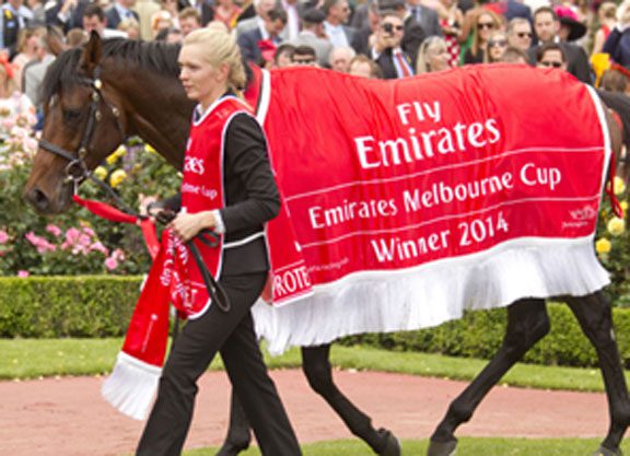 Protectionist Out Of Melbourne Cup