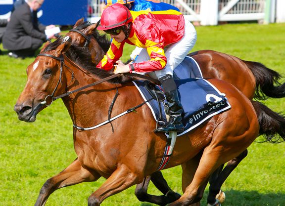 Tattersalls Mare Catalogue Online