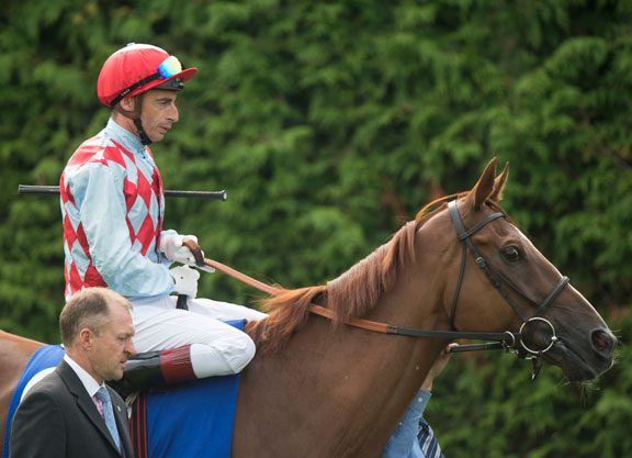 Full Field Subscribed For Melbourne Cup