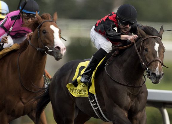 Riker Wins Grey S. in Isolation