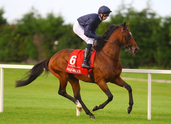 Roderic O’Connor To National Stud