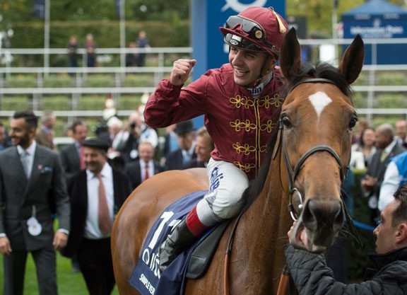 Duke of Marmalade’s Simple Verse Garners Fillies & Mares Glory