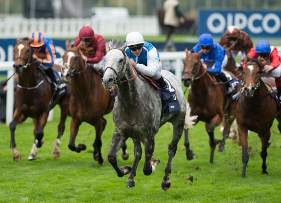 Solow Best In QEII Challenge