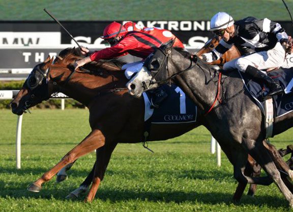 Speak Fondly Gives Waterhouse Eighth Flight S.